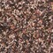 Wild Delight Wild Delight Nut N Berry Assorted Species Sunflower Kernels Wild Bird Food 5 lb 366050 - alternate 3